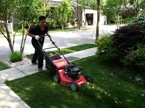 工廠、商務(wù)大樓、工業(yè)園區(qū)、私人企業(yè)、電影院、銀行、政府機關(guān)、學(xué)校、酒店娛樂場所等綠化養(yǎng)護