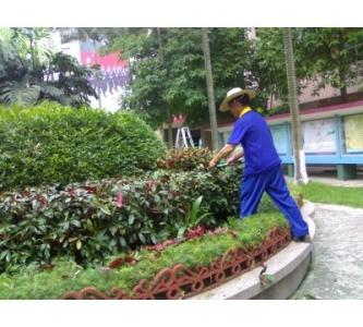 綠化養(yǎng)護(hù)